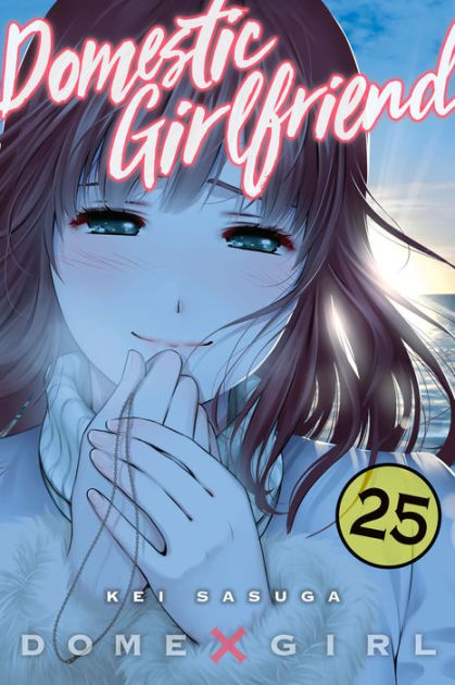 Domestic Girlfriend, Volume 25 By Kei Sasuga 