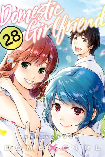 Domestic Girlfriend na Kanojo Vol.12 Limited Edition Manga Booklet