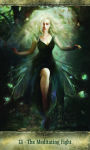 Alternative view 4 of Fearless Fight Like A Girl Oracle Deck