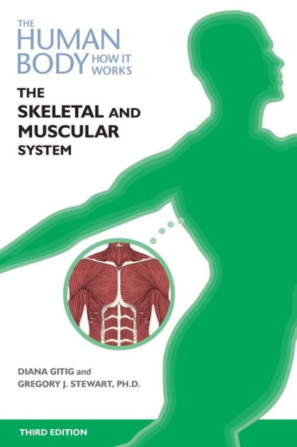 The Skeletal And Muscular Systems Third Edition By Diana Gitig the-skeletal-and-muscular-systems-third-edition-by-diana-gitig