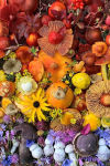 Alternative view 2 of Flowers and Fungi Boxed Note Cards