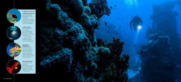 Our Future Below: The Game-Changing Science of Ocean Exploration