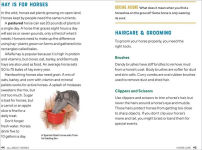 Alternative view 3 of All About Horses: A Kid's Guide to Breeds, Care, Riding, and More!