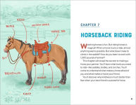 Alternative view 4 of All About Horses: A Kid's Guide to Breeds, Care, Riding, and More!