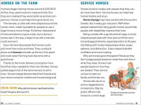 Alternative view 5 of All About Horses: A Kid's Guide to Breeds, Care, Riding, and More!