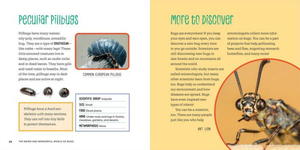 The Weird and Wonderful World of Bugs: A Book About Beetles, Butterflies, and Other Fascinating Insects