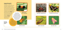Alternative view 7 of The Weird and Wonderful World of Bugs: A Book About Beetles, Butterflies, and Other Fascinating Insects
