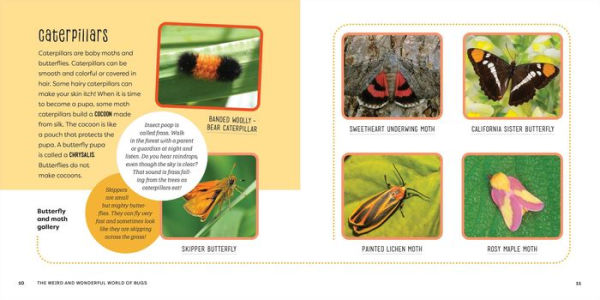 The Weird and Wonderful World of Bugs: A Book About Beetles, Butterflies, and Other Fascinating Insects