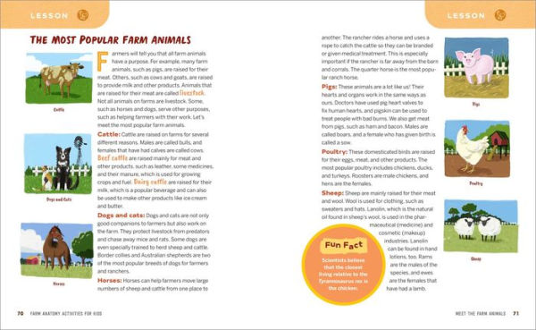 Farm Anatomy Activities for Kids: Fun, Hands-On Learning