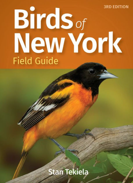 new york bird