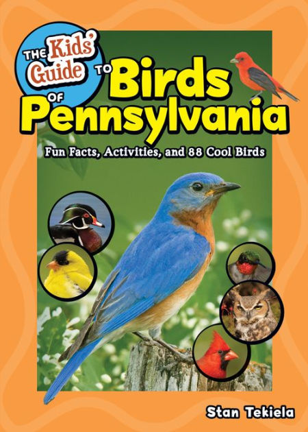 the-kids-guide-to-birds-of-pennsylvania-fun-facts-activities-and-86