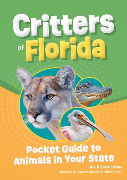 Fish for Kids: A Junior Scientist's Guide to Diverse Habitats, Colorful  Species, and Life Underwater : Kurtz MA, Kevin: : Books