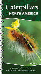 Title: Caterpillars of North America: Easily Identify 90 Common Butterflies and Moths, Author: Jaret C. Daniels