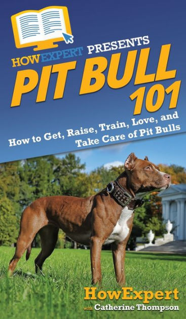 pit bull 101 how to get raise train love and take care of pit bulls by howexpert catherine thompson hardcover barnes noble
