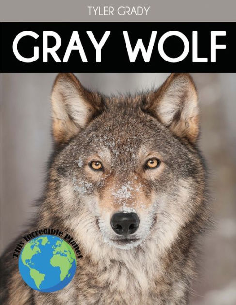 Gray Wolf: Fascinating Animal Facts for Kids by Tyler Grady, Paperback