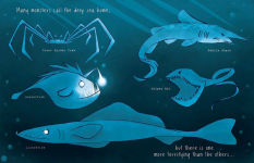Alternative view 6 of The Kraken's Rules for Making Friends