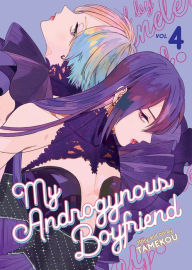 Title: My Androgynous Boyfriend Vol. 4, Author: Tamekou