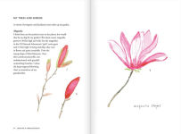 Alternative view 2 of Creating a Garden Retreat: An Artist's Guide to Planting an Outdoor Sanctuary