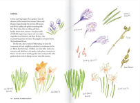 Alternative view 4 of Creating a Garden Retreat: An Artist's Guide to Planting an Outdoor Sanctuary