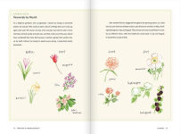 Alternative view 7 of Creating a Garden Retreat: An Artist's Guide to Planting an Outdoor Sanctuary