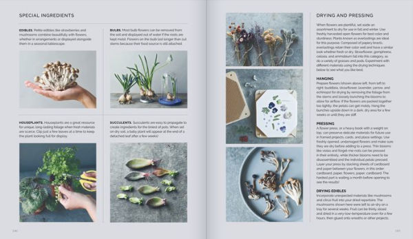 The Little Flower Recipe Book: 148 Tiny Arrangements for Every Season and Occasion