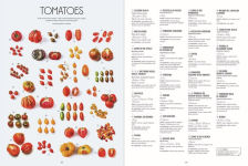 Alternative view 4 of Let's Eat Italy!: Everything You Want to Know About Your Favorite Cuisine