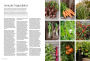 Alternative view 9 of The Food Forward Garden: A Complete Guide to Designing and Growing Edible Landscapes