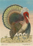 Alternative view 2 of John Derian Paper Goods: Crested Turkey 1,000-Piece Puzzle