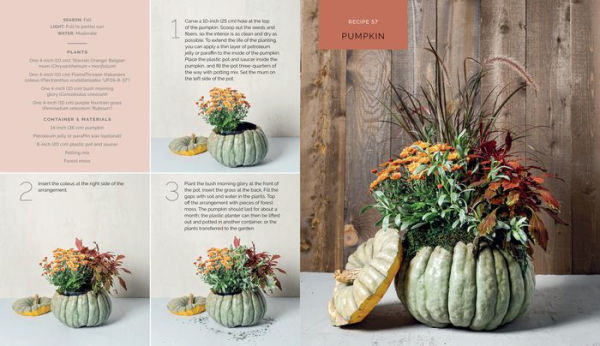 The Container Garden Recipe Book: 57 Designs for Pots, Window Boxes, Hanging Baskets, and More