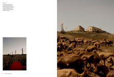 Alternative view 7 of Kinfolk Journeys