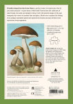 Alternative view 4 of John Derian Paper Goods: Mushrooms 1,000-Piece Puzzle
