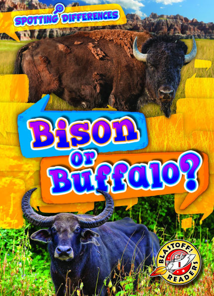 Bison or Buffalo?
