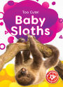 Baby Sloths