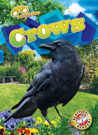 Title: Crows, Author: Rachael Barnes
