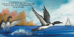 Alternative view 3 of Good Night Loons