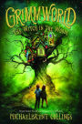 Grimmworld, Vol. 1: The Witch in the Woods