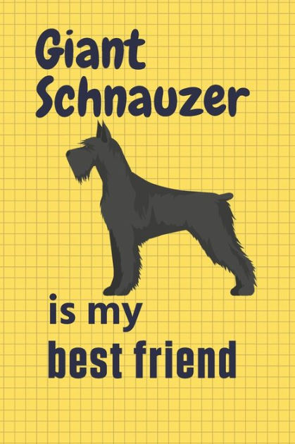 are giant schnauzers good friends