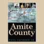 Amite County