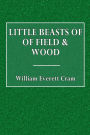 Little Beasts of Field & Wood
