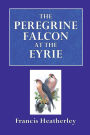 The Peregrine Falcon at Eyrie