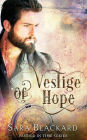 Vestige of Hope: A Christian Time Travel Romance