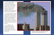 Alternative view 2 of The 9/11 Terrorist Attacks: A Day That Changed America