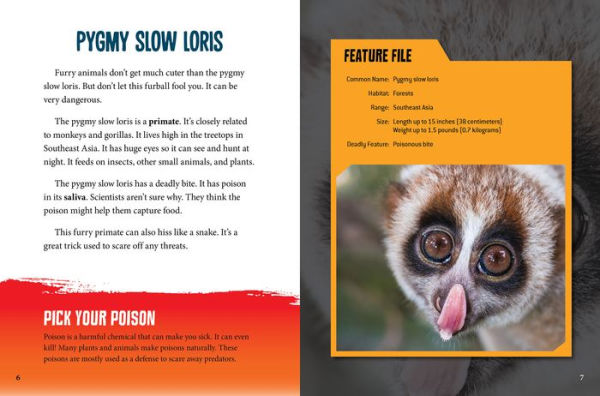 Cuddly But Deadly Animals