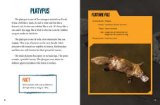 Alternative view 3 of Cuddly But Deadly Animals