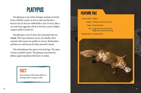 Cuddly But Deadly Animals