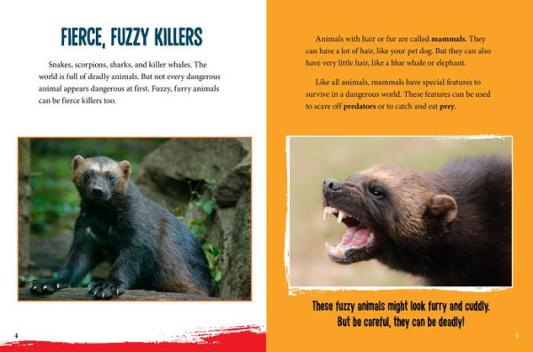 Cuddly But Deadly Animals