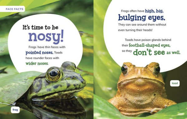 Is It a Frog or a Toad?