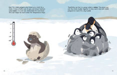 Alternative view 2 of My Life as an Emperor Penguin