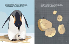 Alternative view 3 of My Life as an Emperor Penguin