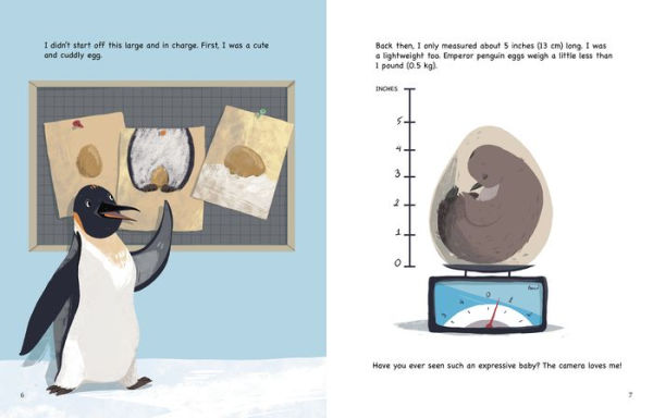 My Life as an Emperor Penguin